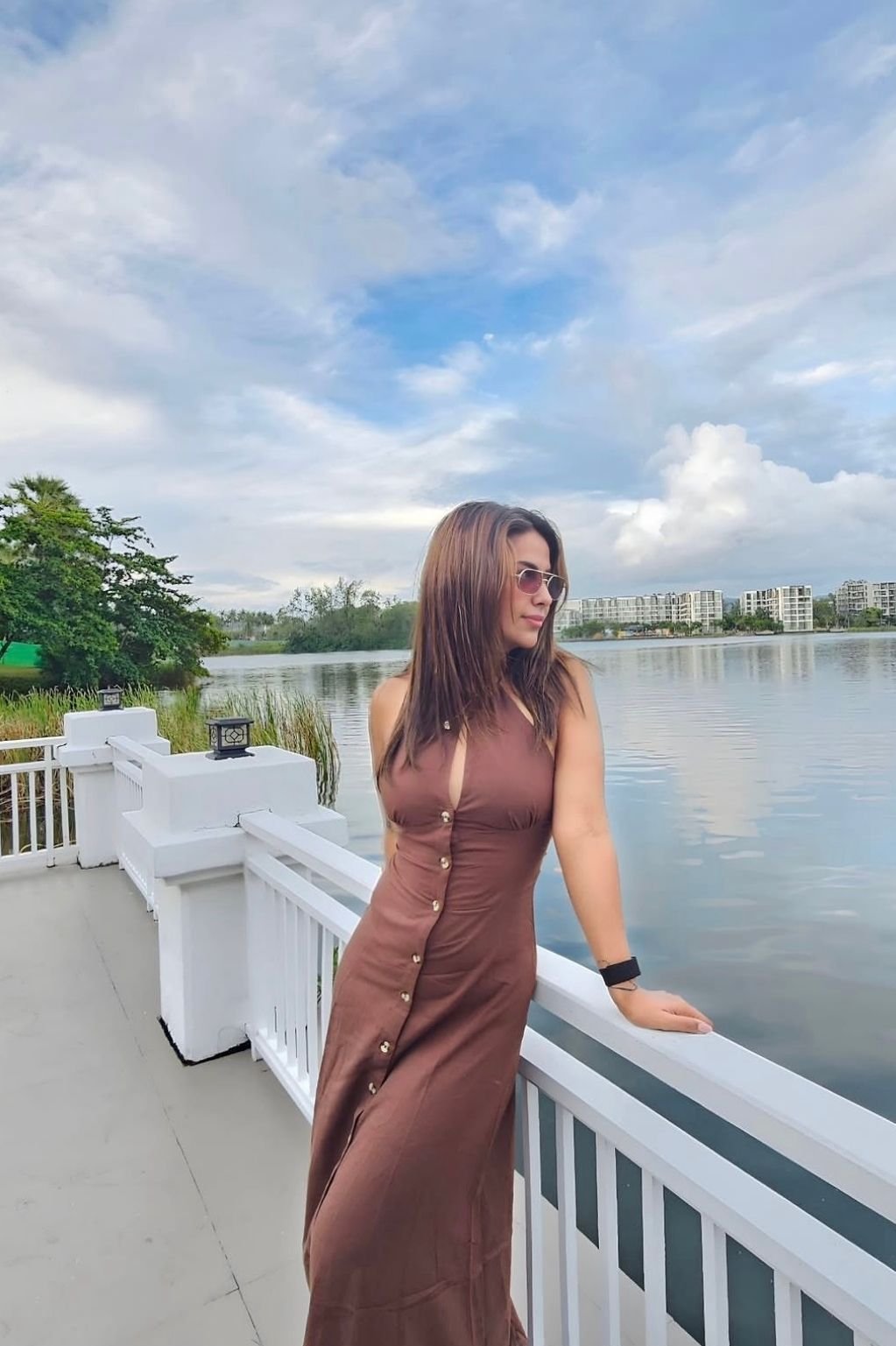 Daydream Dress in Brown